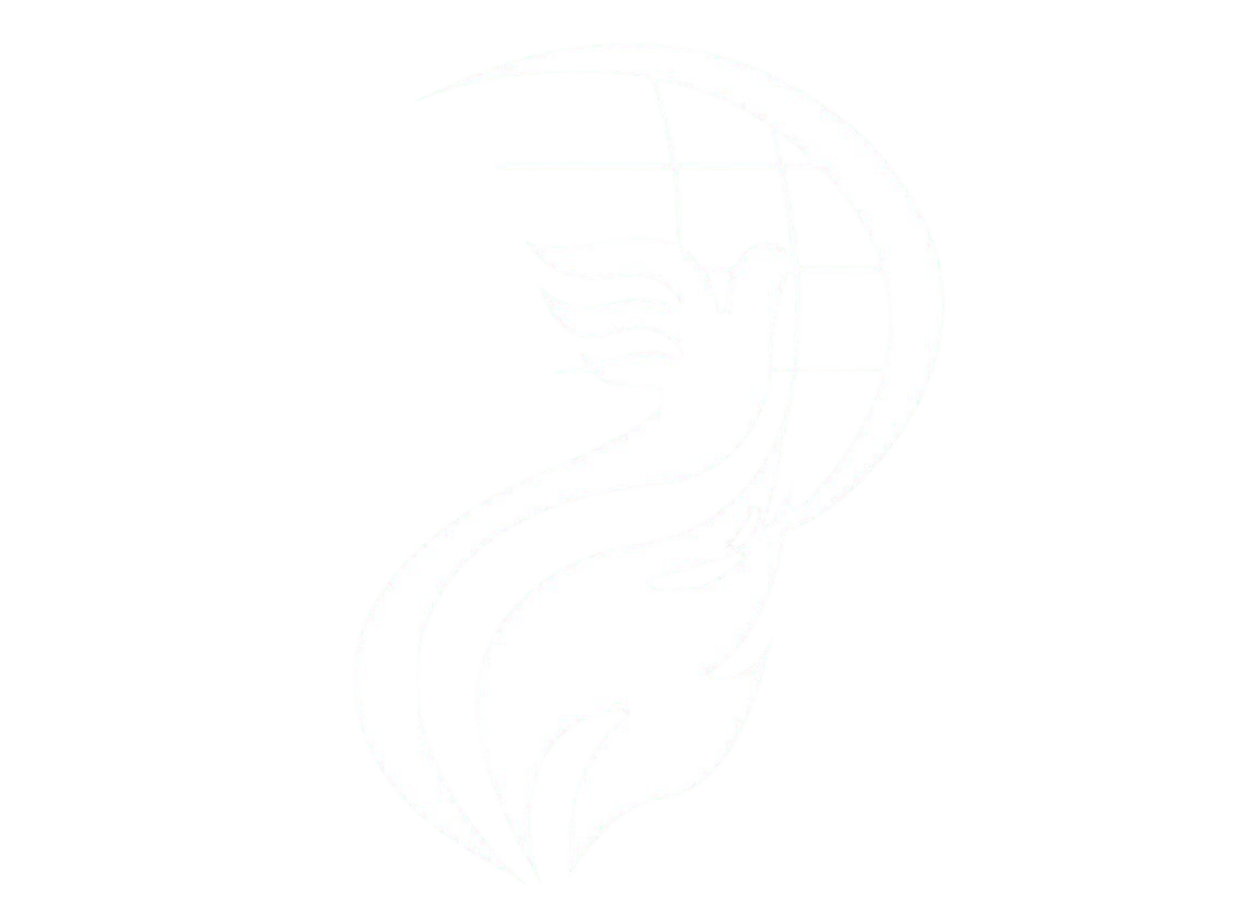 FVN Logo